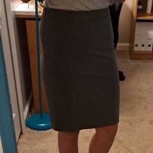 Never Worn The Limited Skirt